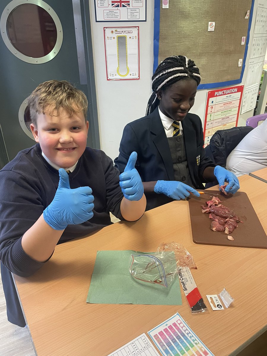 Y6S_CCPS's tweet photo. This boy said that dissecting a heart this afternoon was the best birthday present he could have wished for! 😂 see our blog post later this week to find out more➡️  https://t.co/ASEFudeND0

 #ScienceCroxteth #CroxtethScience https://t.co/Vcw4pjVUqh
