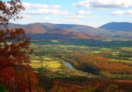 The Blue Ridge Lumber Company is a hardwood sawmill located in the Shenandoah Valley of Virginia.  This quality timber is stable and uniform and perfect for a range of applications where a consistent finish is desired.  Available now from Abbey Woods, Ireland.
