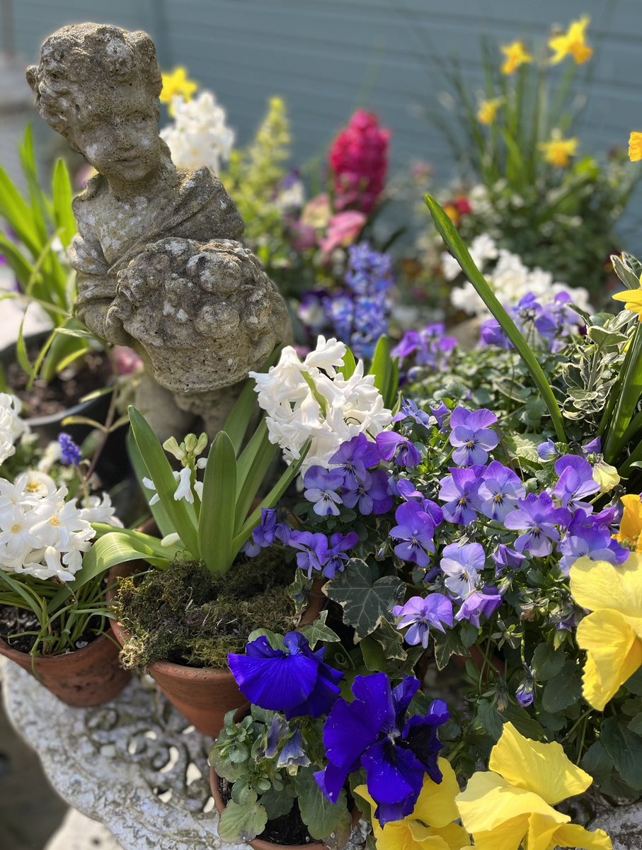 GardenBrocante's tweet photo. Have a lovely evening. I’m about to get some more wood in for the fire 🔥🔥🥶🥶🔥🔥 https://t.co/Ujx8FshuUv