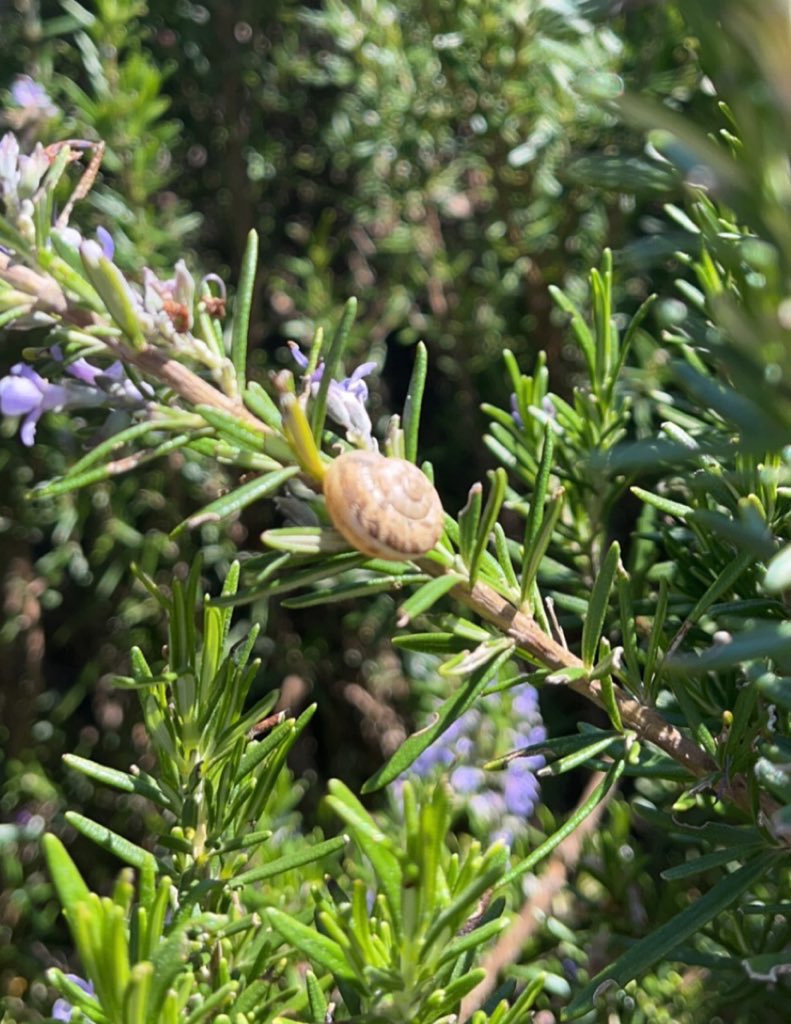 Sam Edwards tweet media