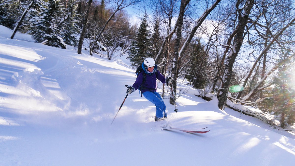 Al Powell tweet media