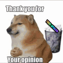 <a href="/elonmusk/">Elon Musk</a> jk i love you elon