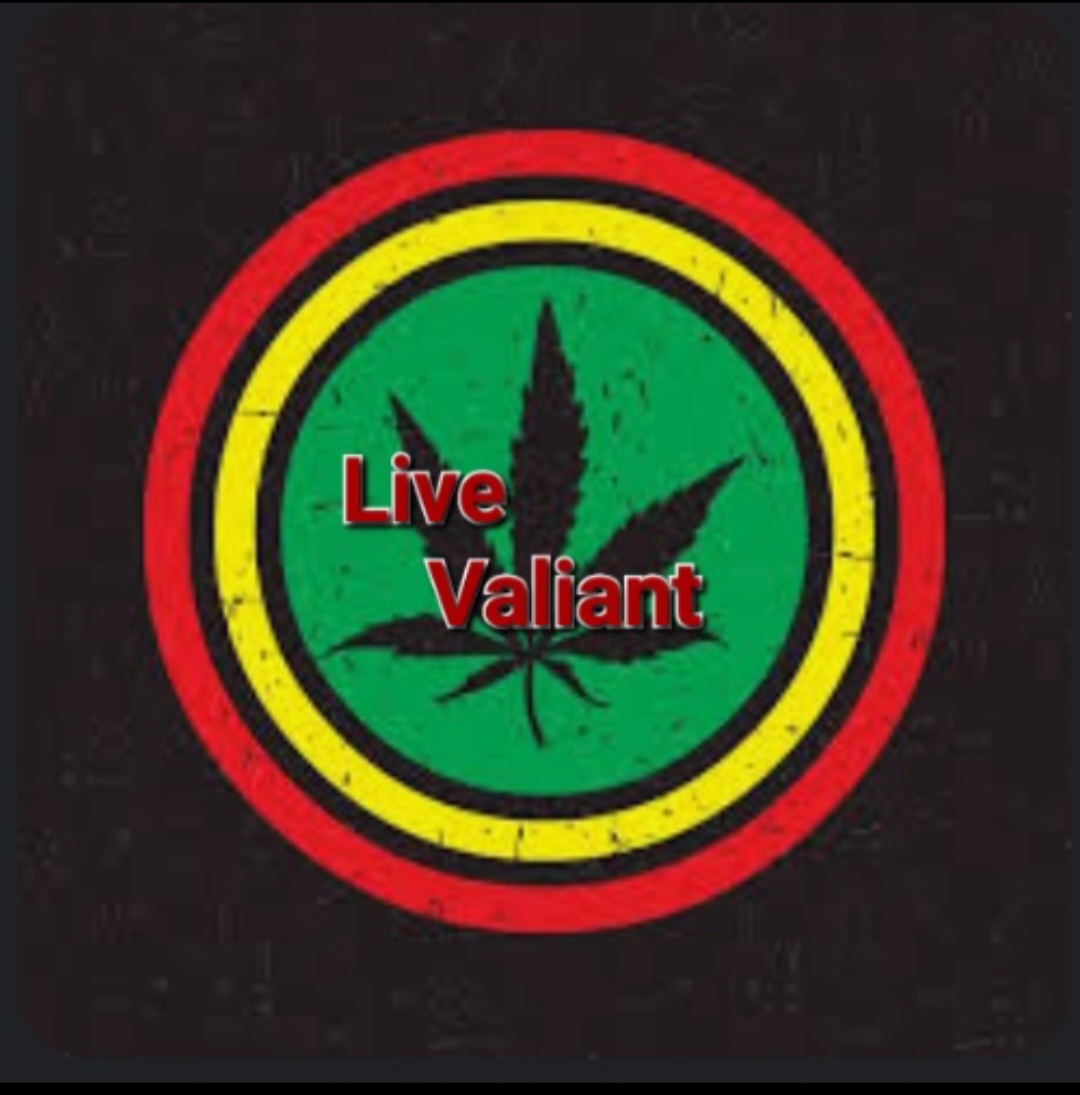 LvValiant's tweet photo. If you spread Love today
The day is not wasted

#LiveValiant 
#Cannabis is a blessing💚💚 https://t.co/cPPI9pua09