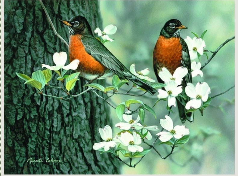 Just as the robins and flowers return in the Spring, so does pool membership registration!

See our website for more information on when and how to register:
middlesexboro-nj.gov/pool

#spring #robins #springflowers #registernow #poolmembership #summer2023 #middlesexcommunitypool