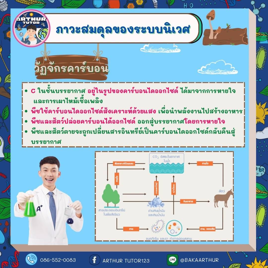 ARTHUR TUTOR tweet media
