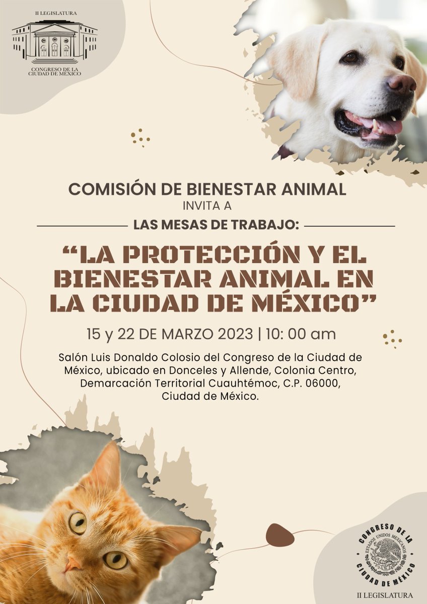 Mañana podrás conocer las diferentes posturas de especialistas, animalistas y legisladores sobre las iniciativas de #BienestarAnimal, durante el #ParlamentoAbierto, que podrás seguir a través de las redes sociales del Congreso en cumplimiento del protocolo de acceso al Recinto.