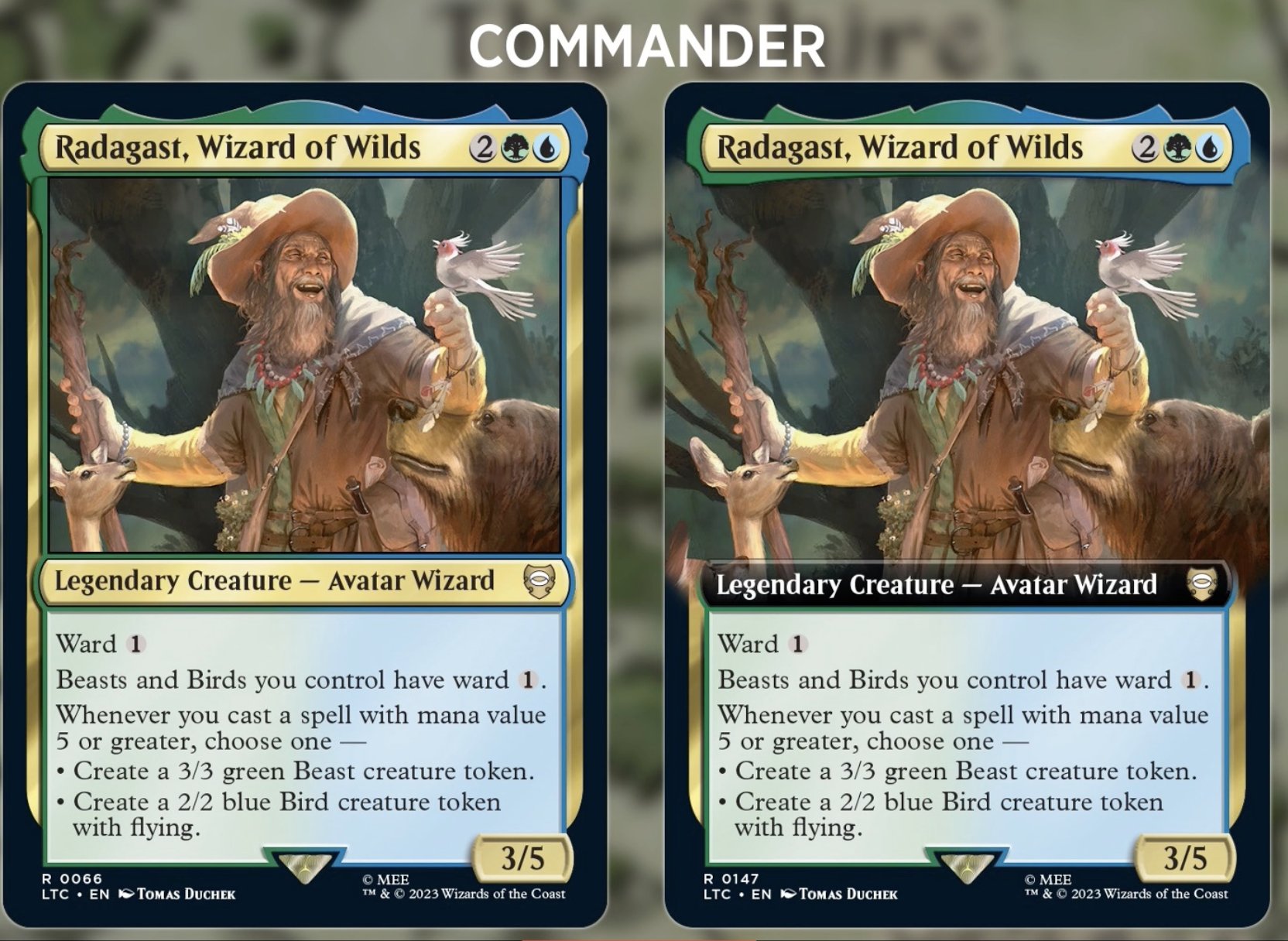 Radagast, Wizard of Wilds (Extended Art) [The Lord of the Rings: Tales of  Middle-Earth Commander]