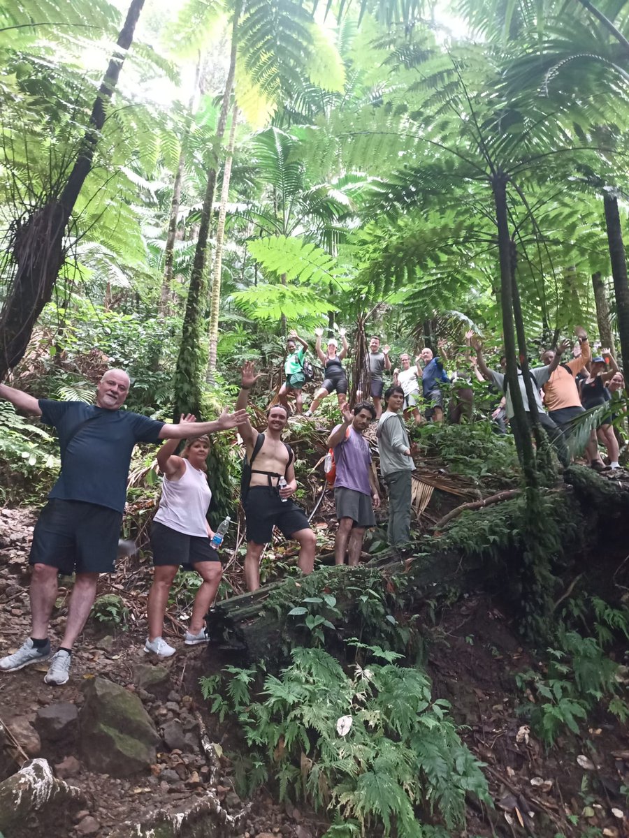 Rogers Eco Tours is committed to providing safe & comfortable tours which explores up close the lush + fertile Kittitian mountain range + rain forest which covers one quarter of the island from a small family business. #sustainability #rainforestpreservation #heartofstkitts