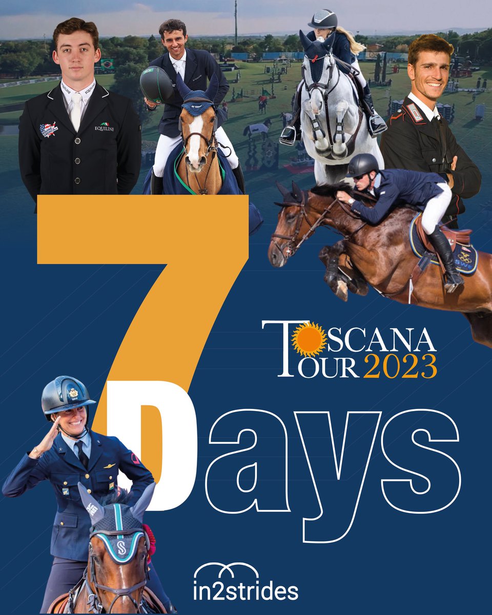 in2strides tweet media