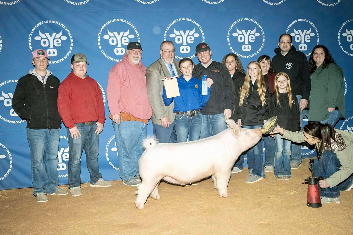 SGIBoars's tweet photo. RESERVE CHAMPION YORK
2023 Oklahoma Youth Expo
Sired by :: IN AWE 
Raised by :: Diamond B Showpigs, IA 
#SGIBOARS https://t.co/a9tjFy34UA