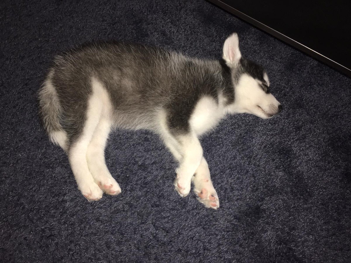 SFUMATO_'s tweet image. New series drop tomorrow! 💧
On @SuperRare 💎
&quot;Hear me! Maybe you will learn about you and this planet we live on for the first time from the mouth of my kind...&quot; 🤫🤫

#NFTs #cryptoart #Singleedition #digitalart #artconcept