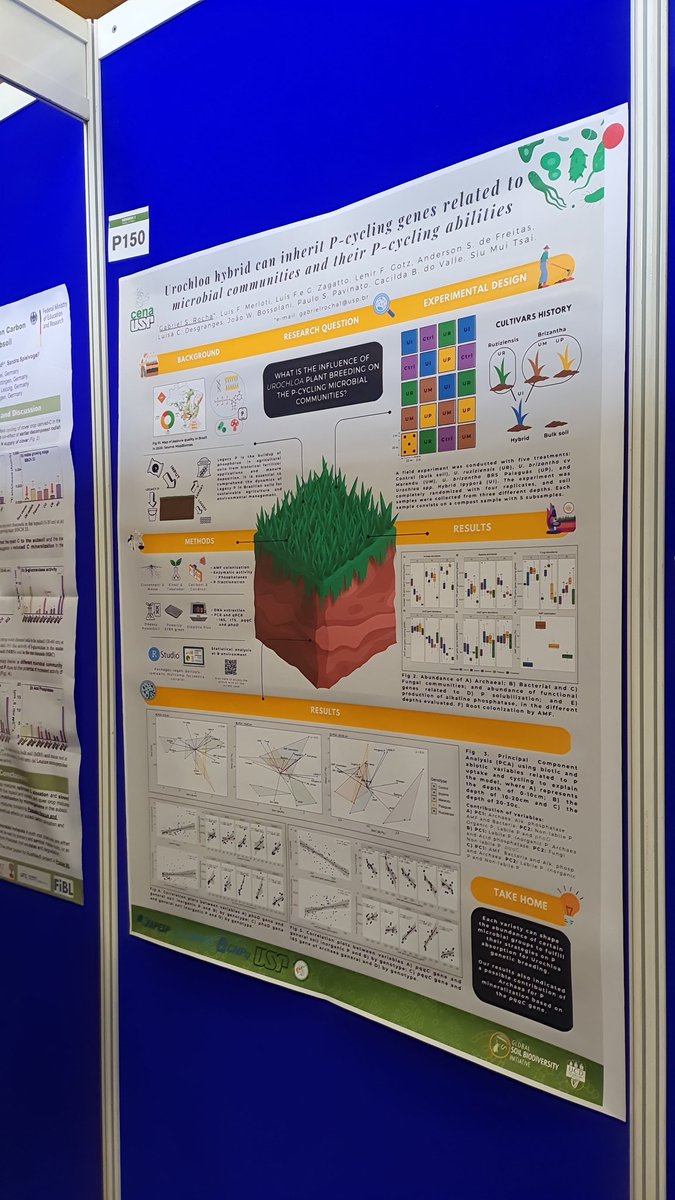 Today I presented my poster about Urochloa breeding and its implication on P-cycling microbial communities. It was an amazing experience! Thanks for each one who attended to my poster #GSB2023

Online version and scripts available at:
github.com/gabrielrocha1/…