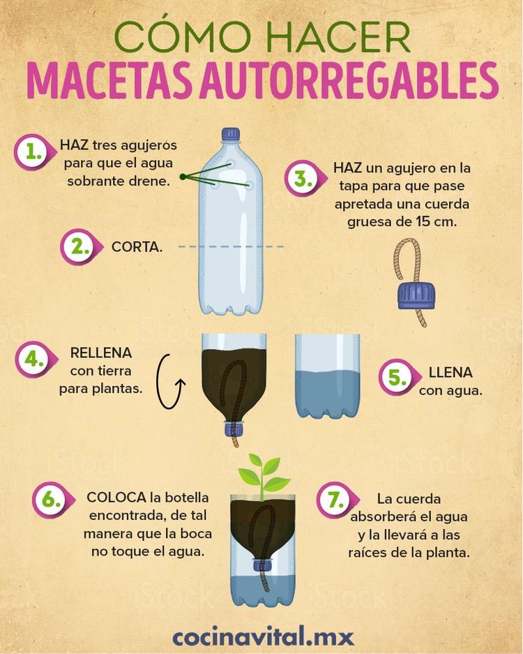 Val_Sustentable's tweet photo. #SustenTips | cómo hacer macetas autorregables para un rincón de tu cocinas. https://t.co/jeeaCR1gVU