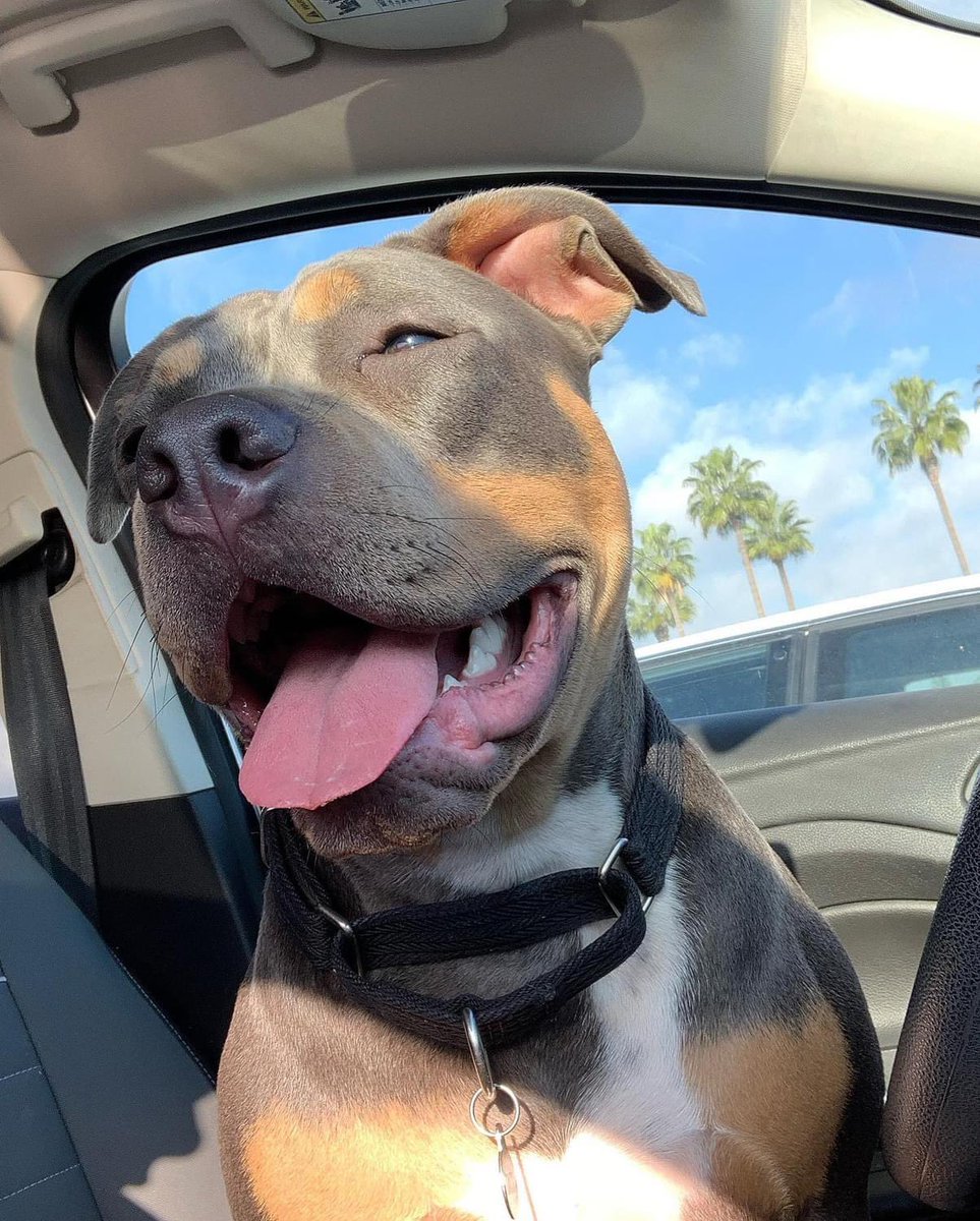 DJ NOIR JBW - PERSONAL JAZZ ❄️👑 tweet media