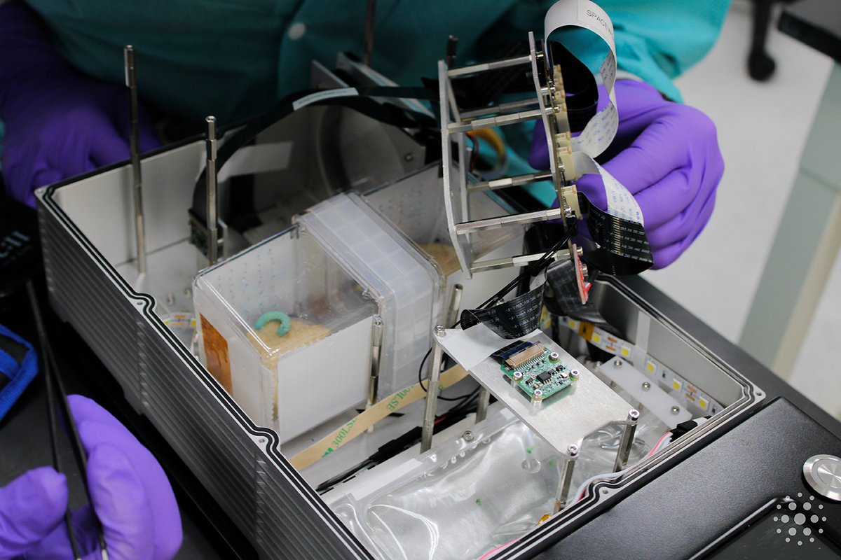 space_tango's tweet photo. What's launching on #CRS27? Four winning student-led investigations from @HigherOrbits are going to the ISS 🚀 Space Tango scientists and engineers worked alongside student teams to translate their ideas into a microgravity experiments!
Learn more now: https://t.co/YHhgBMUDT0 https://t.co/pnK9ITXZp2