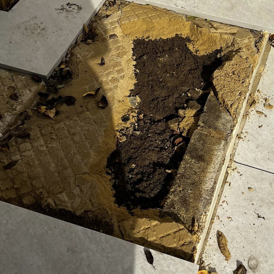 GK Wilson Gardens tweet media