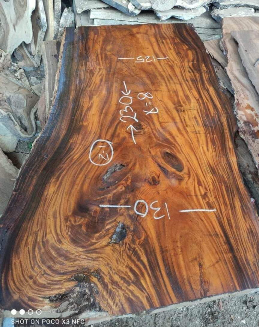 Exotichardwood3's tweet photo. Suar/Monkeypod slabs for your house furniture, conference tables,restaurant tables, office tables, coffee tables, Consoles...
Kiln dried, smoothened and ready to be finished as client request.
WhatsApp 00237 672 939 833
#suarslabs #suarwood #countertops #tables #Monkeypodslabs https://t.co/8VWuZ4qy5A