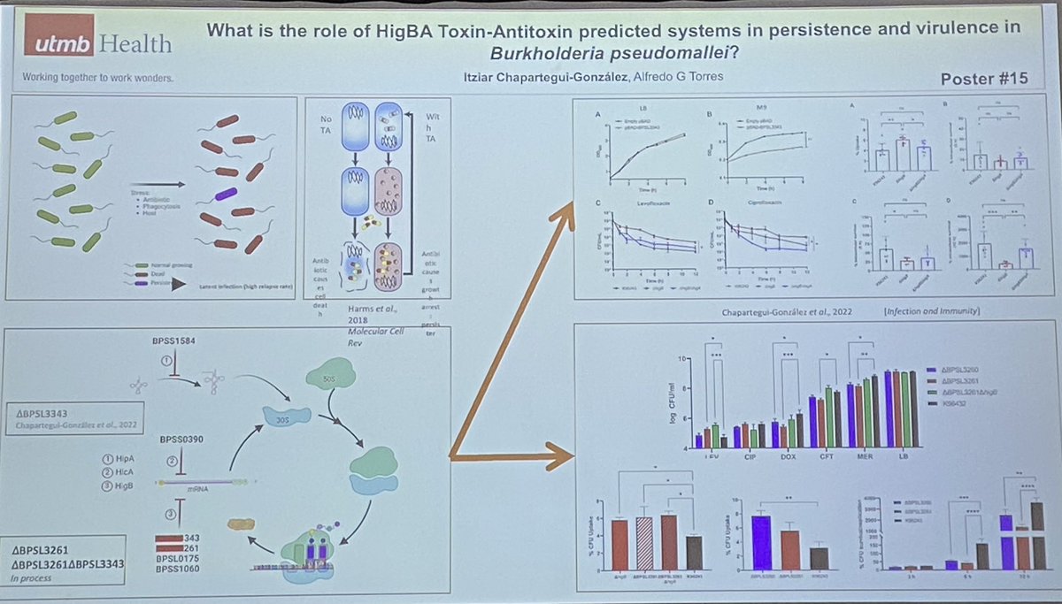 DrAlfredoTorre1's tweet photo. Itziar Chapartegui González @orcinus26 presenting her poster at the #GRC2023 Tropical Disease Conference https://t.co/cETSDbQyN6