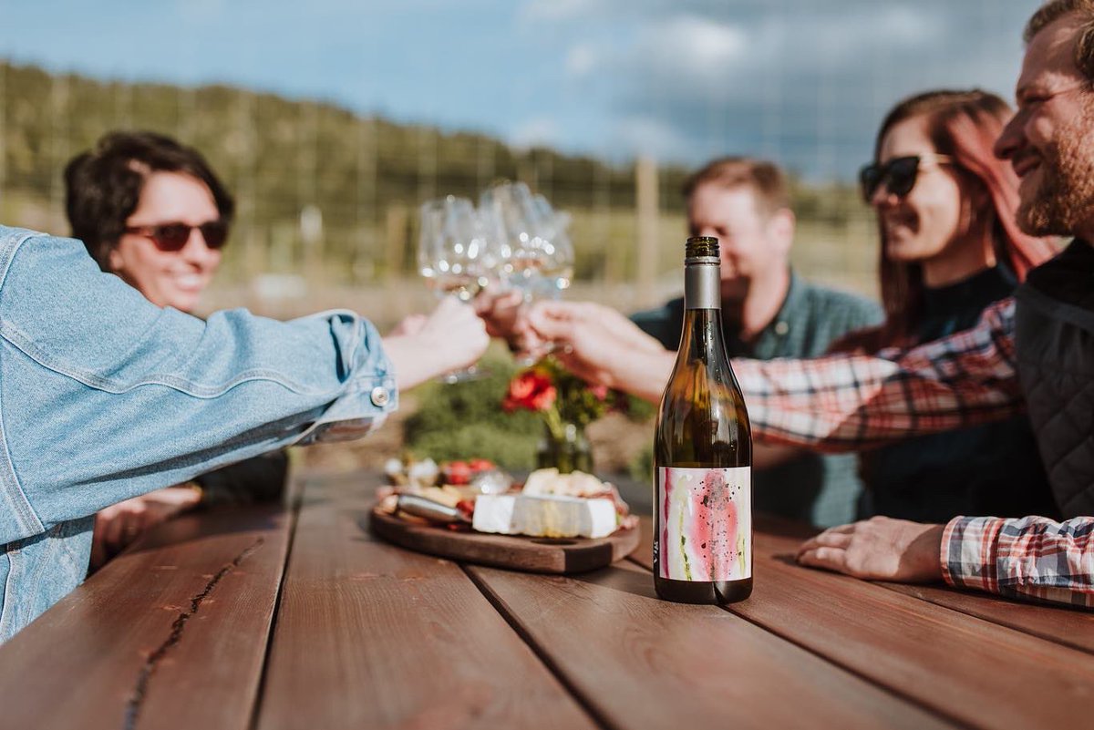 winesyndicate's tweet photo. They’re here! The new releases from @RocheWines and their Vig artist collaboration series are available this week 🎨 The team has been busy bottling over the last few weeks and are ready for you to try the new wines! Spring is in the air 🌻 https://t.co/VI6JbCdecx