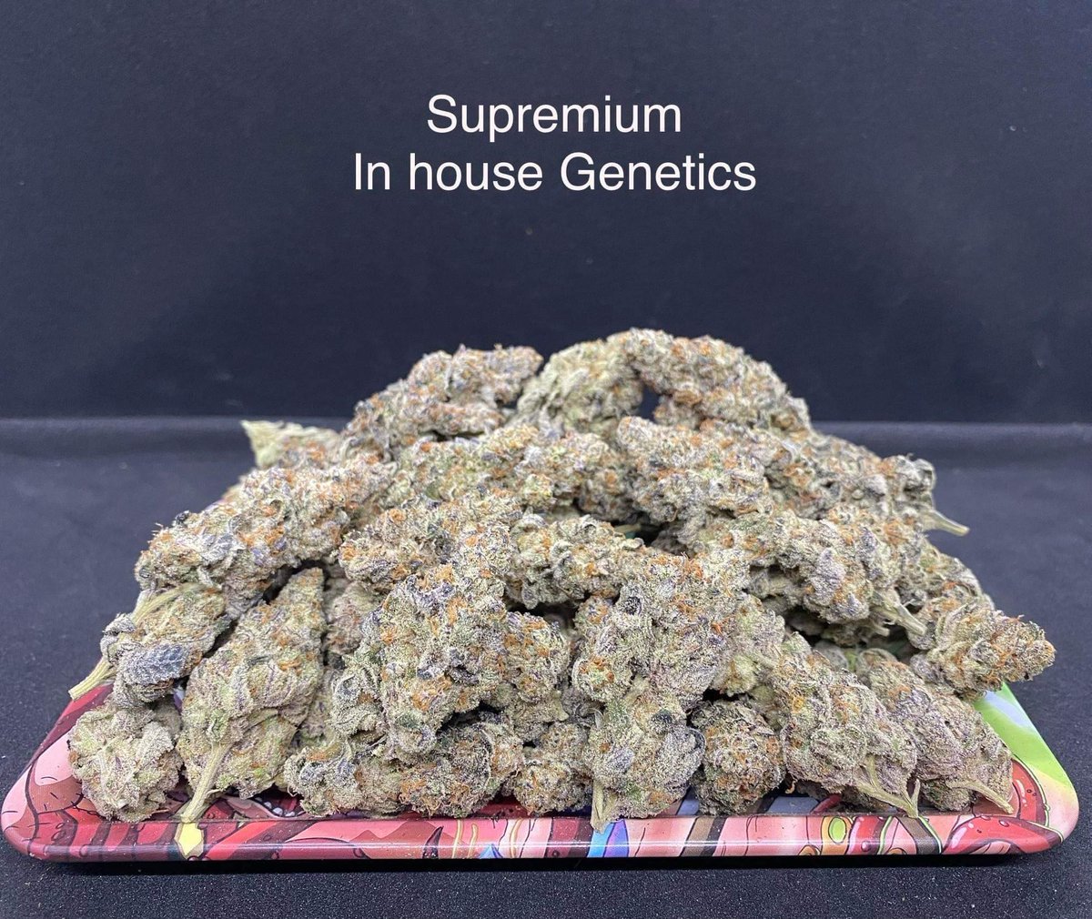 HPW4200's tweet photo. เข้าใหม่ดอกOG เกรดTop shel.💎
การันตีคุณภาพทุกตัว รับประกัน THC25% Up++🔥 ส่งตรงจากค่ายดัง
สนใจสอบถาม Dm. หรือ กดลิ๊งไลน์หน้าแอ๊คมาครับ🙏
มีกลุ่มจบงาน+เครดิตชัดเจน✅️
#กัญชานอก #กัญชาออแกนิก #ดอกกัญชา #กัญชาเชียงใหม่นัดรับ #weedsmokers #WeedLovers 
สั่งซื้อ👉 @HPW4200 💥 https://t.co/OjPHjkzdfh