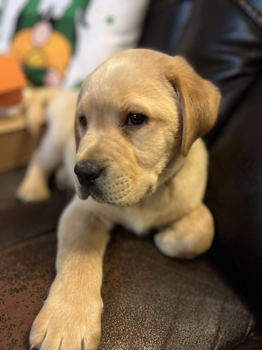 Southwest Elementary tweet media