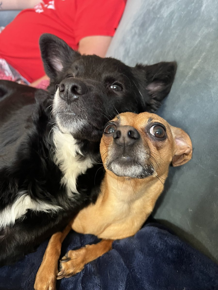 Mysti Jordan tweet media