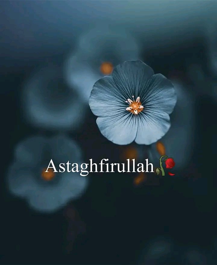 idris isah tweet media