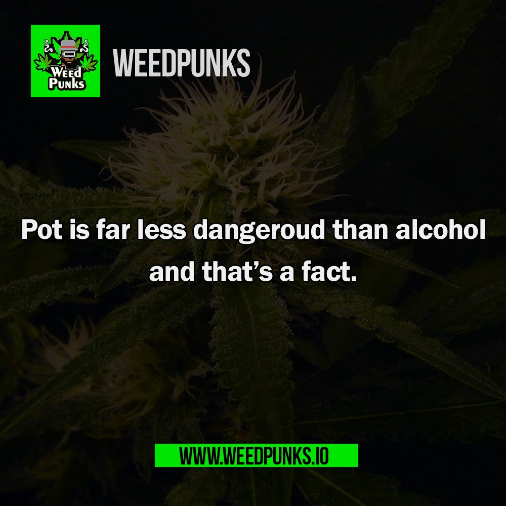 Weedpunks tweet media