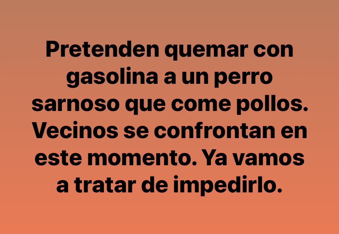 MundoPatitas's tweet photo. 🚨EMERGENCIA 🚨 https://t.co/PMP4RwNxix