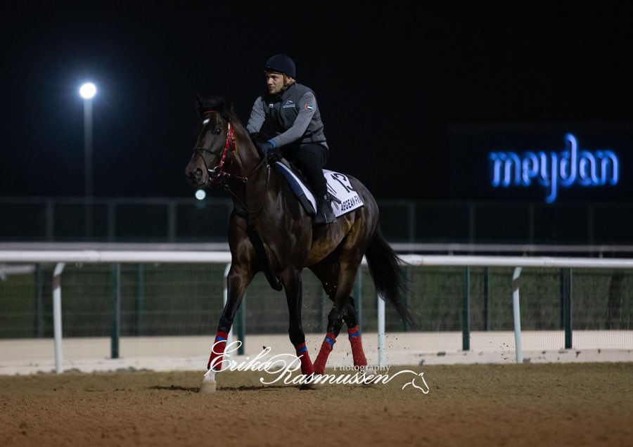 bye bye dubai 🙋‍♂️