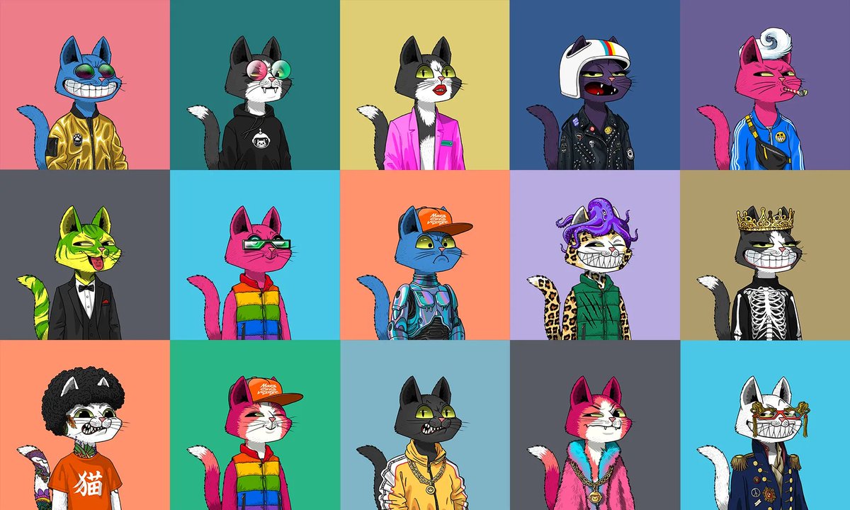 Jay B 😻🚀 tweet media