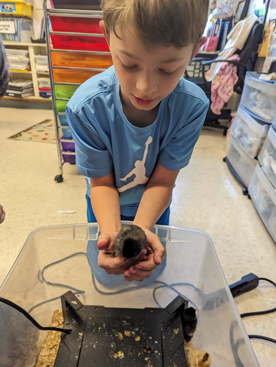 Milken's tweet photo. "I love teaching science because students can engage in discovery at their own pace. Their innate curiosity leads to rich class discussions. I hope I can encourage them to always be curious about their world." — #MilkenAward's @SGCmaine (ME '22)

#ScienceEducationDay #piDay2023 https://t.co/fEB6JSEzHW