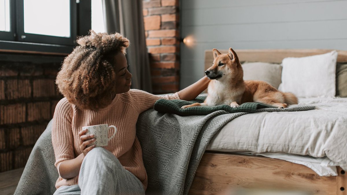 As a pet owner, finding a rental property that accommodates your furry friend can be challenging.

Read our blog to find out some of our top tips to help you find and rent a pet-friendly property: bit.ly/401jdUs

#PetFriendly #Rentals #Blog #PetFriendlyLettings #Lettngs