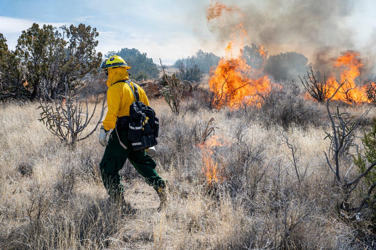 AirForceCE's tweet image. Safeguarding our land 🧑‍🚒

Fire management experts executed prescribed burns at Kirtland AFB, New Mexico to slow potential future wildfires by addressing overgrown grasses and other wildfire fuel sources on the base.

USAF 📸 by A1C Spencer Kanar

 #AirmenEngineers #ReadyAF