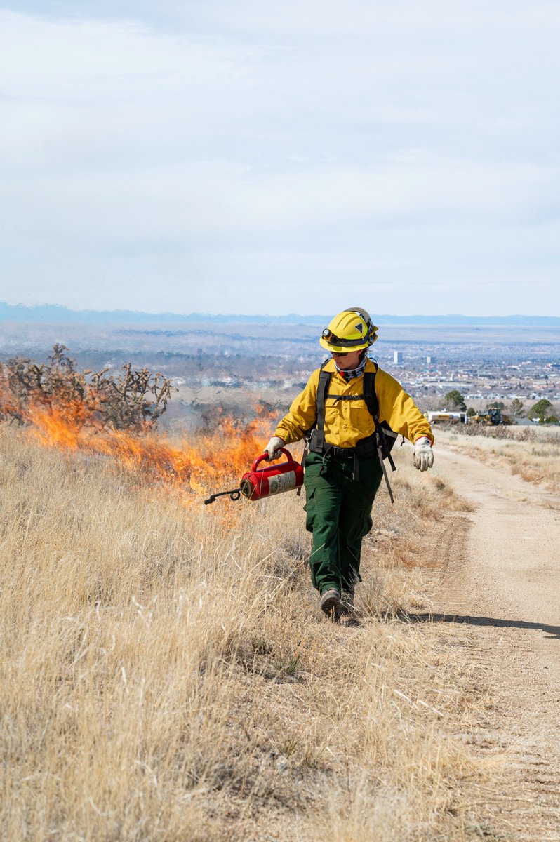 AirForceCE's tweet image. Safeguarding our land 🧑‍🚒

Fire management experts executed prescribed burns at Kirtland AFB, New Mexico to slow potential future wildfires by addressing overgrown grasses and other wildfire fuel sources on the base.

USAF 📸 by A1C Spencer Kanar

 #AirmenEngineers #ReadyAF