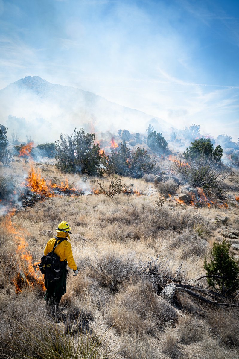 AirForceCE's tweet image. Safeguarding our land 🧑‍🚒

Fire management experts executed prescribed burns at Kirtland AFB, New Mexico to slow potential future wildfires by addressing overgrown grasses and other wildfire fuel sources on the base.

USAF 📸 by A1C Spencer Kanar

 #AirmenEngineers #ReadyAF