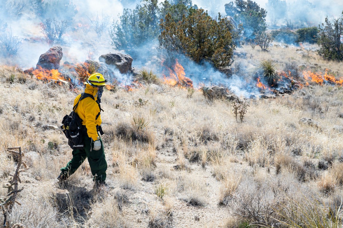 AirForceCE's tweet image. Safeguarding our land 🧑‍🚒

Fire management experts executed prescribed burns at Kirtland AFB, New Mexico to slow potential future wildfires by addressing overgrown grasses and other wildfire fuel sources on the base.

USAF 📸 by A1C Spencer Kanar

 #AirmenEngineers #ReadyAF