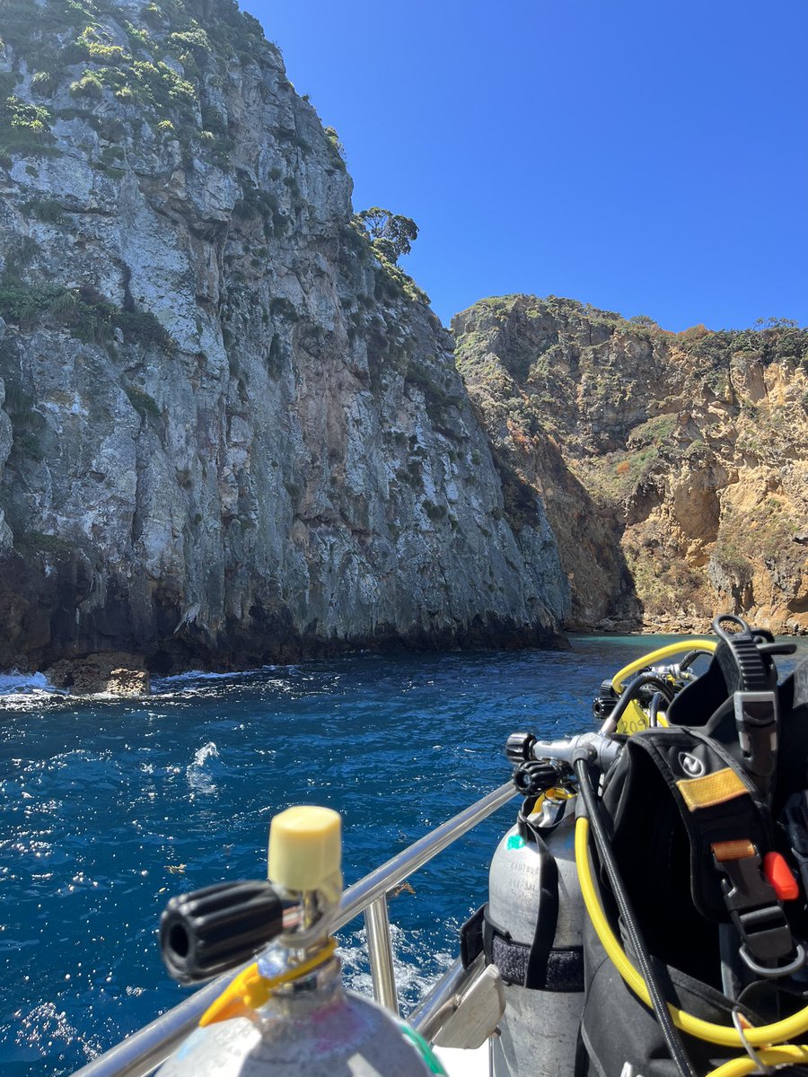 Two weeks in paradise. 10/10, no notes.

📍New Zealand 🇳🇿