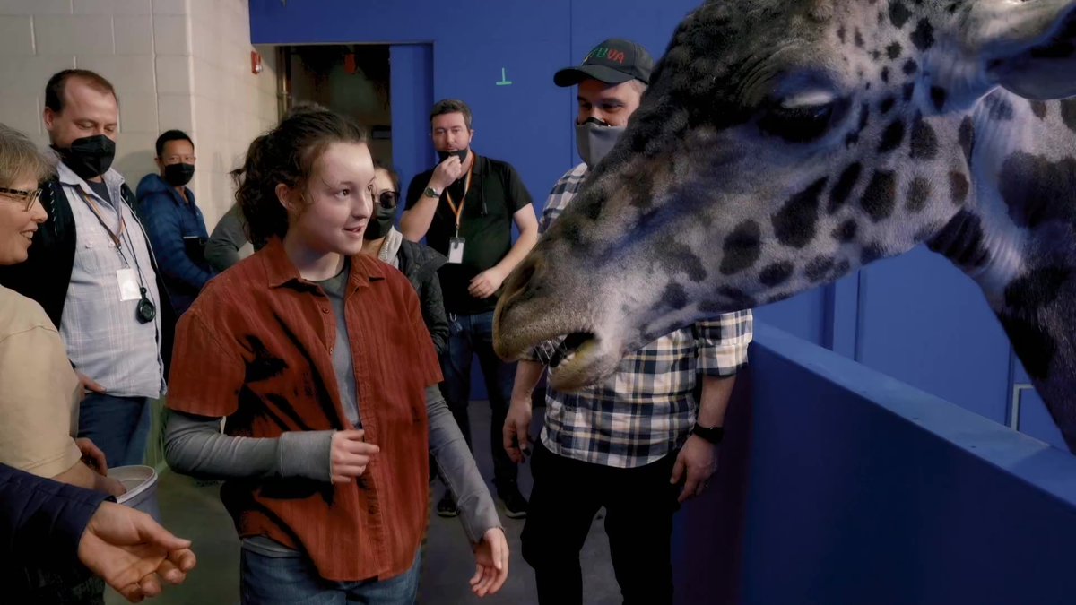 A behind the scenes look at the #TheLastOfUs giraffe scene.

The show used real, trained giraffes.