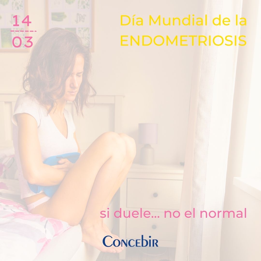 Concebir ONG tweet media