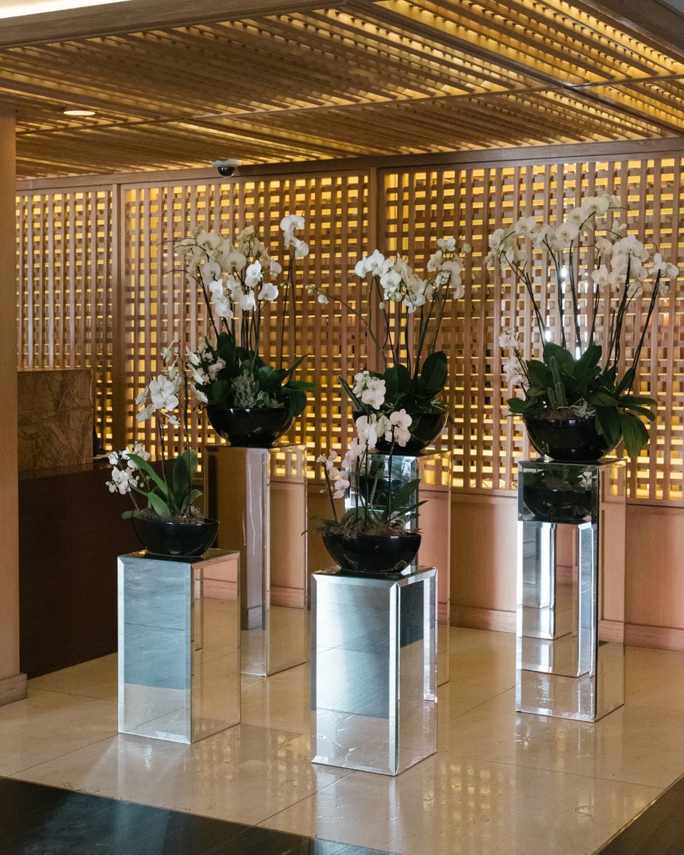 Our team is ready to receive and welcome you to our city. 🖤 
We look forward to seeing you in Bogotá soon! #FSBogotá #FourSeasons #Hotel #Bogotá