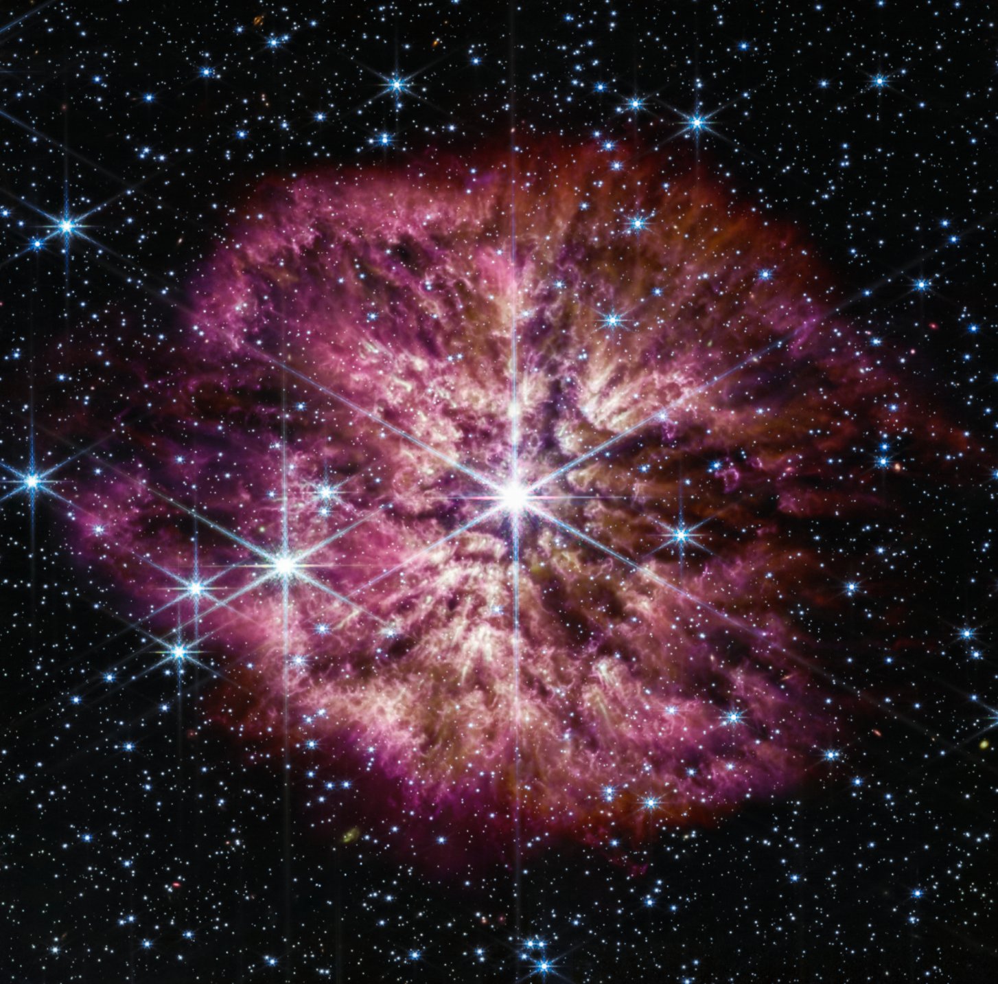 Image description: A prominent, eight-pointed star shines in bright white at the center of this image. A clumpy cloud of material surrounds this central star, with more material above and below than on the sides, in some places allowing background stars to peek through. The cloud material is a dark yellow closer to the star, and turns a pinkish purple at its outer edges. Combined together, the central star and its cloud resemble the delicate petals of a cherry blossom. The black background features many smaller white stars scattered throughout.