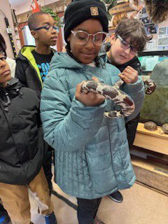 Innovation_APS's tweet photo. Check out these brave 5th graders holding snakes at the #outdoorlab! @MrsPeters_APS @Mrs_White_APS @msmaniace @Kerley5th @APSscience @APSVirginia @EmilyGarcia723 https://t.co/gWcrZ4rjcG
