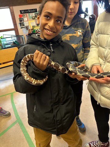 Innovation_APS's tweet photo. Check out these brave 5th graders holding snakes at the #outdoorlab! @MrsPeters_APS @Mrs_White_APS @msmaniace @Kerley5th @APSscience @APSVirginia @EmilyGarcia723 https://t.co/gWcrZ4rjcG