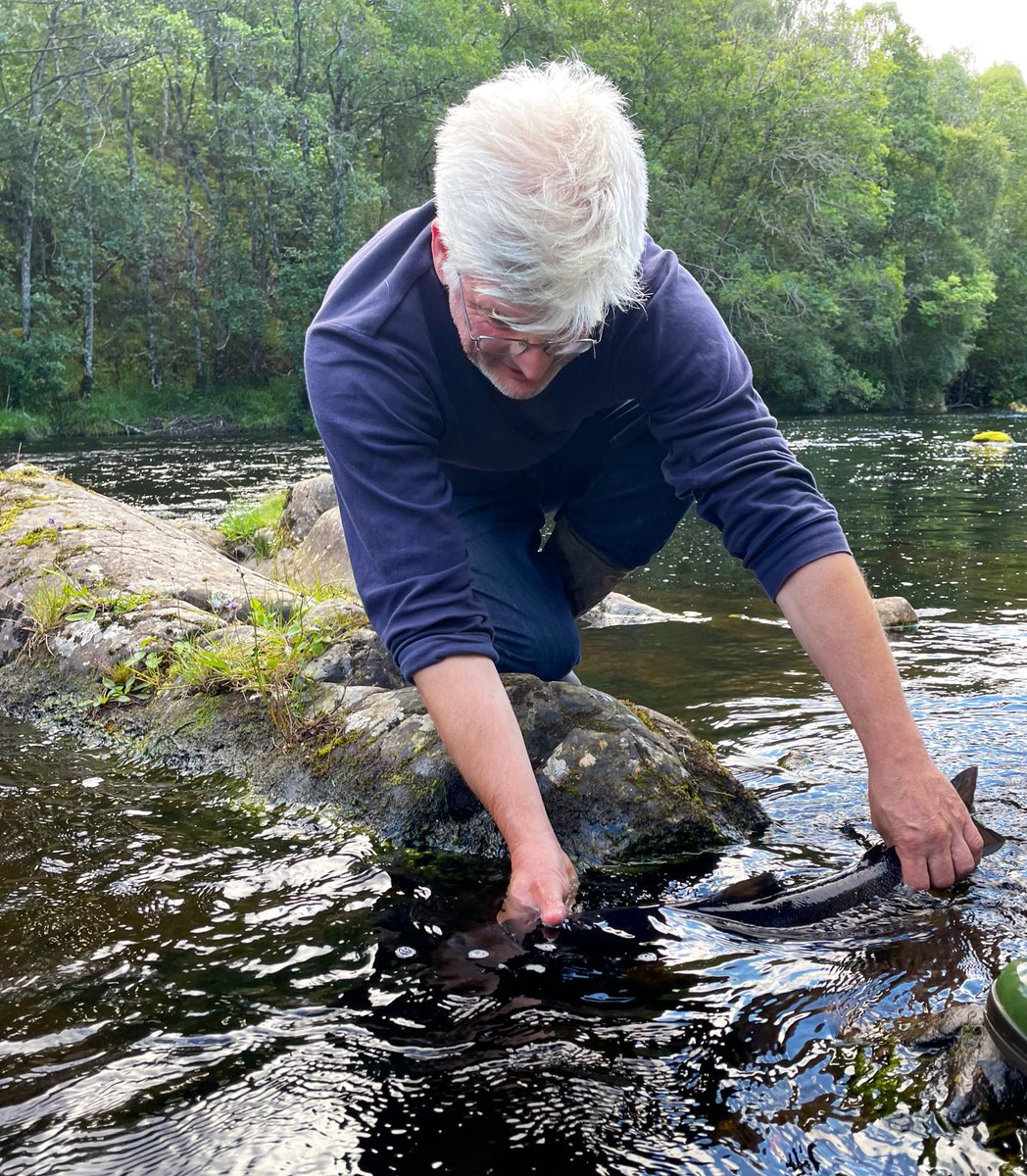 blackgull's tweet photo. blend the angler’s expertise i.e. local knowledge with scientific modelling of numbers #fish caught (sci term: ‘rod exploitation rates’)
#samarch conf day 1
pic: river Shin salmon https://t.co/eVMySqm8UW