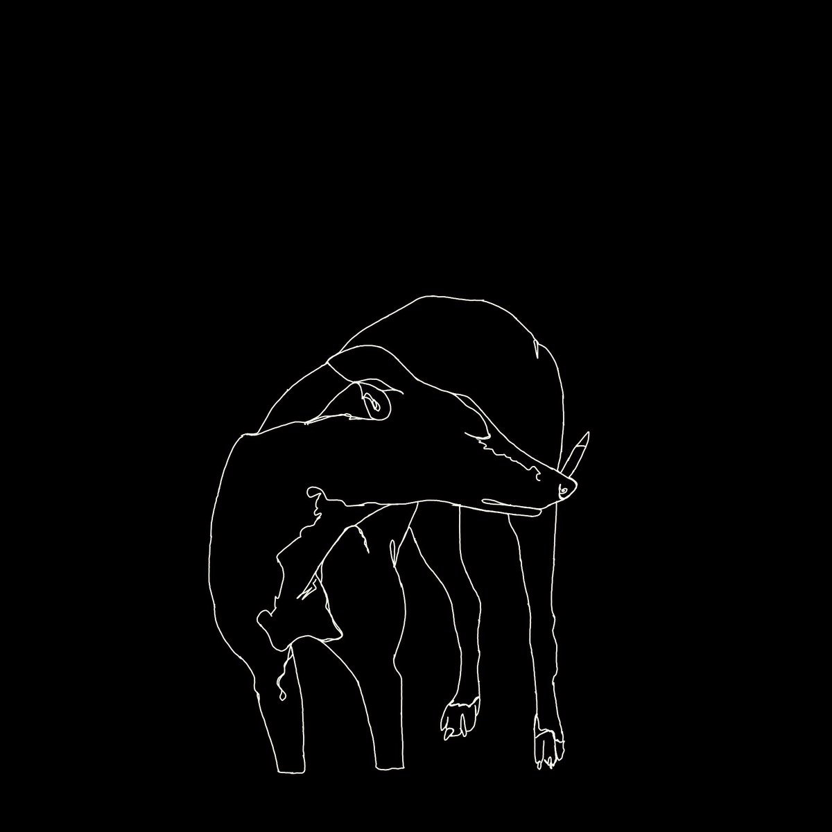 JamiesArtWorld's tweet photo. Another continuous line :))
#art #continuousline #dog #Greyhound #digitalart #DigitalArtist https://t.co/1ckzVYvNZM