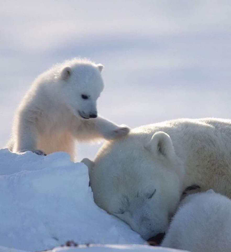hookst222's tweet photo. Cherish the environment, love the earth https://t.co/DMgL8la0QX