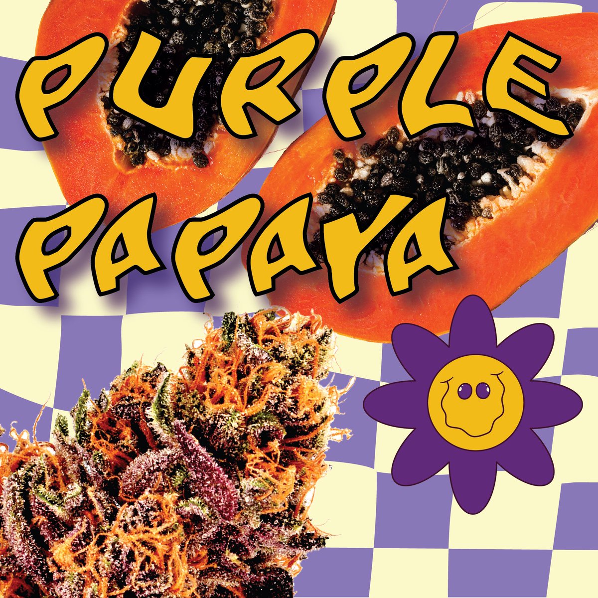 WeatherdIslands's tweet photo. Looking for a big hitter? Well, look no further than this purple tasty treat.  This diamond infused pre-roll will certainly lift your spirits “high” with 43% #THC 

#preroll #craft #high #organic #lso #papaya #texada #outdoor #terpenes #bcbud #weed

https://t.co/FfVtS8fc48 https://t.co/pwO22YzhJZ