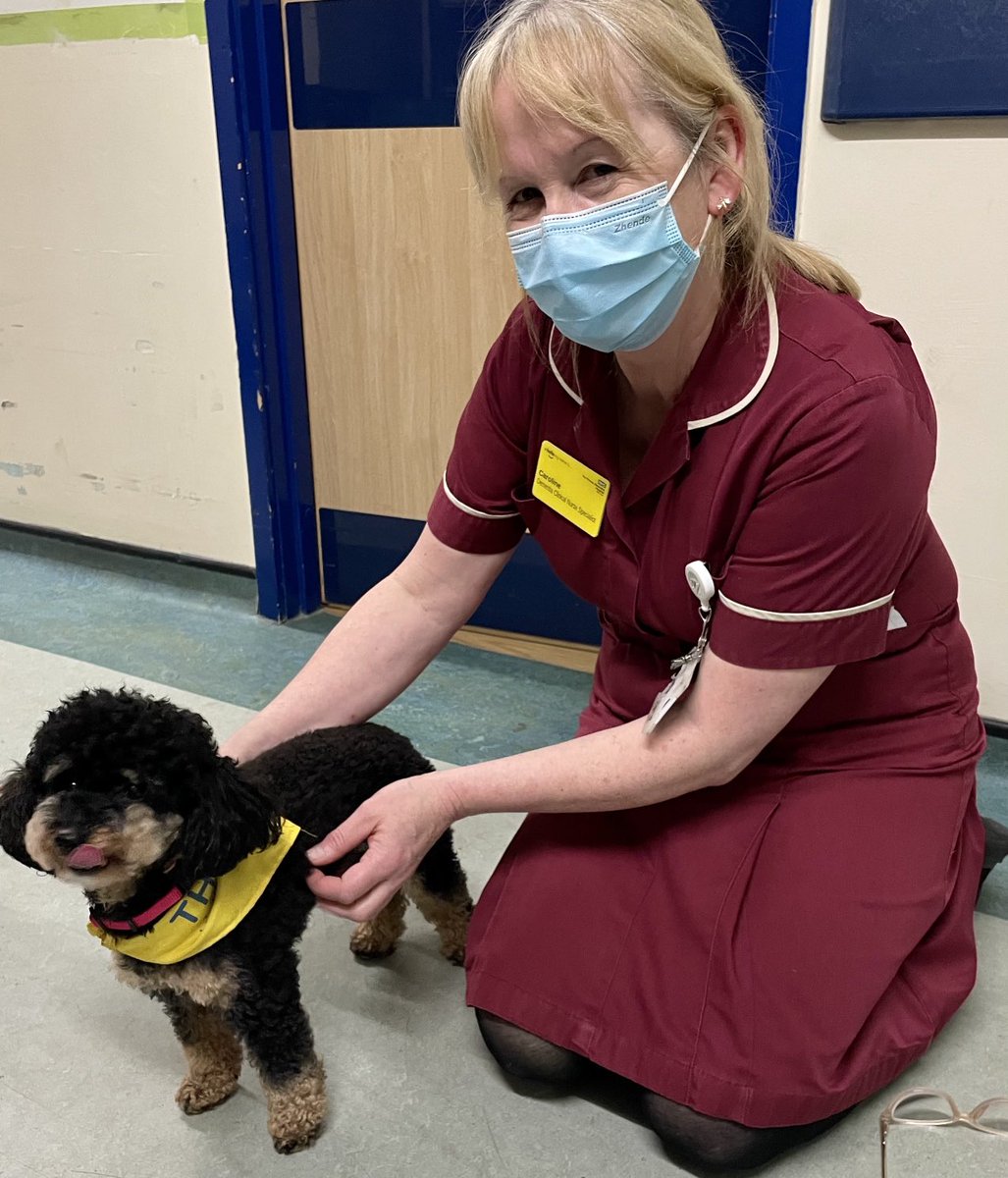 carolineashto4's tweet photo. Welcome to the delightful Tilly and her owner Pat from ⁦@PetsAsTherapyUK⁩ . A wonderful visit today ⁦@NHSHarlow⁩ brightening the day for our #patients and staff.
Some wonderful moments of reflection and #reminiscinece for our patients with #dementia . Thank you 🙏❤️ https://t.co/SQsOCLgEBP