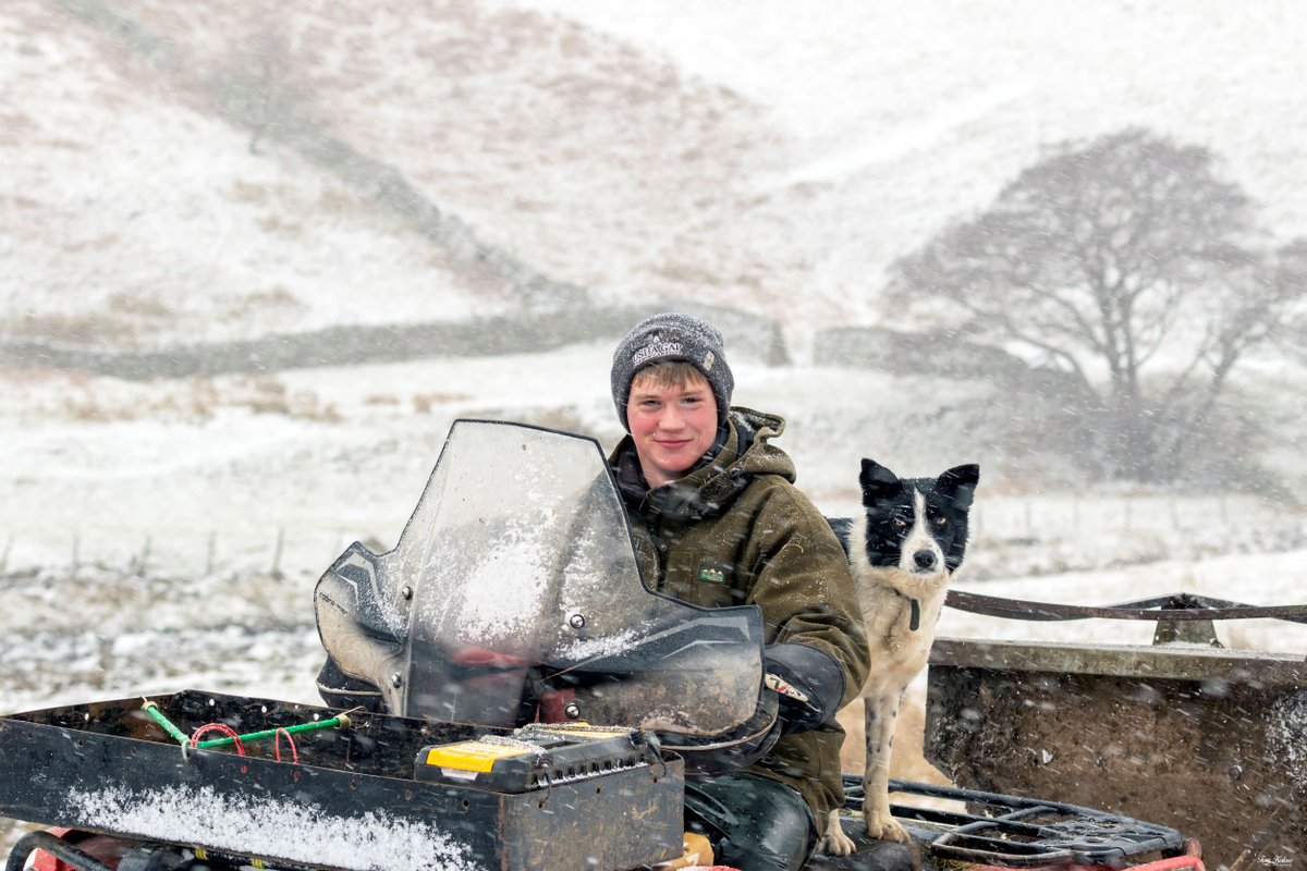 yorkshire_dales's tweet photo. It’s said that #farming is a way of life rather than a job.

James Metcalfe is captured here in #Swaledale with his loyal sheepdogs, feeding his sheep with silage stored from haytime to feed the sheep in winter. Out smiling, whatever the weather!

📷 Tom Kolour @UshaGapCampsite https://t.co/68IbN18Zgi